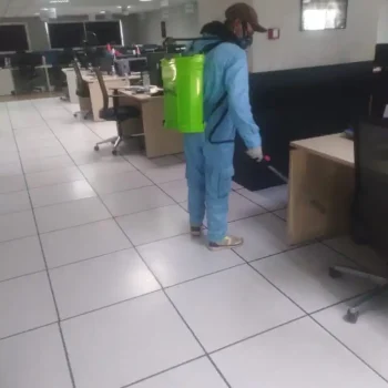 IMG-20250731-WA0001 (Medium)