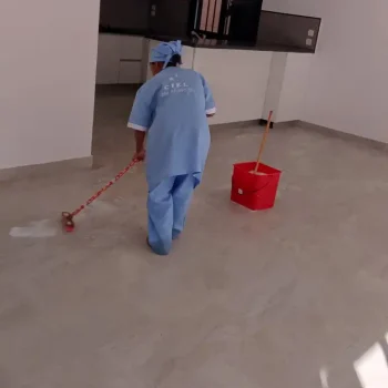 IMG_20241024_154754_323 (Medium)