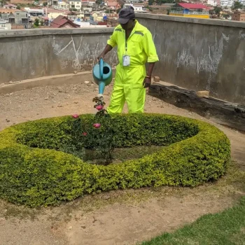 PXL_20231031_103326417.PORTRAIT (Medium)