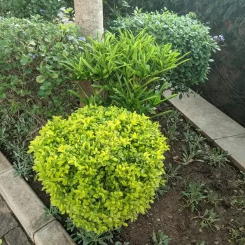 PXL_20231103_032636120 (Medium)